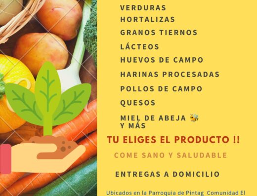 Canastas Agroecológicas a Domicilio Agro-ABEC