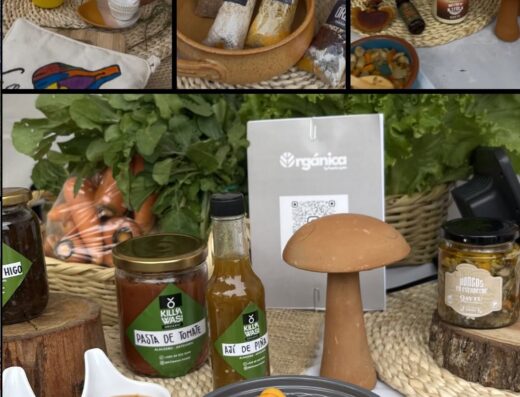 Orgánica feria agroecológica